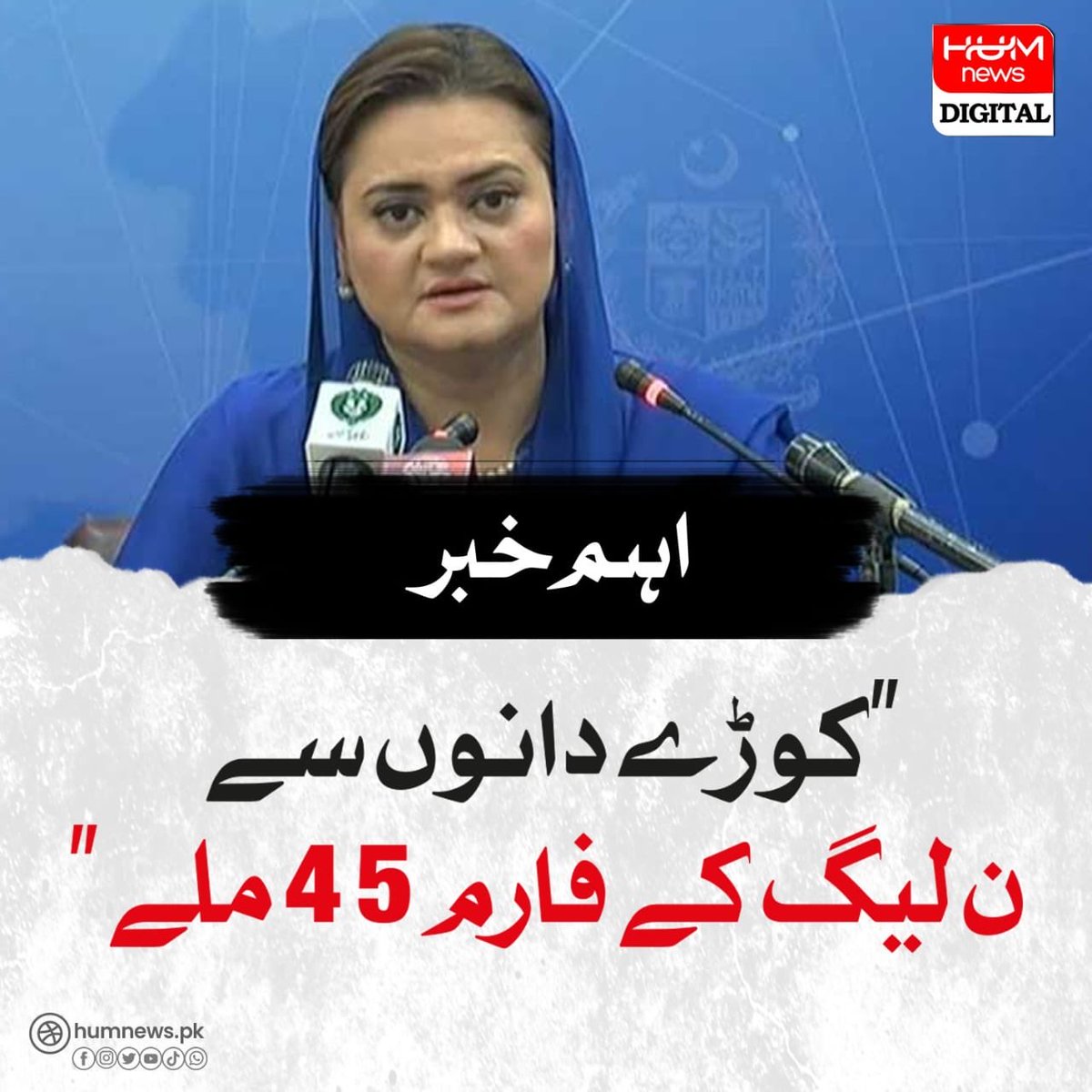 SHABAZGIL's tweet photo. نکی باجی کو غلطی لگی ہے فارم 45 نہیں پوری ن لیگ ہی کوڑے دان سے ملی ہے https://t.co/yyIgrguGyt