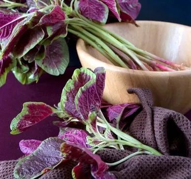 DrKristieLeong's tweet image. Red #spinach contains 3X the #calcium of regular spinach. It also contains more nitrates that improve how. blood vessels function. #vegetables