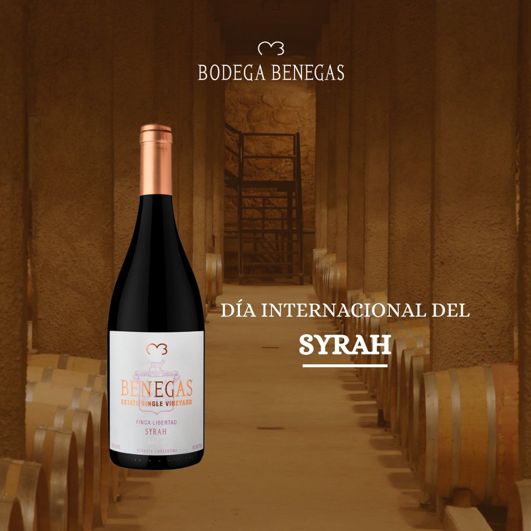 ¡Feliz Día Internacional del Syrah!

Celebremos juntos compartiendo una copa de nuestro Benegas Single Vineyard Syrah.

¡Salud!🍷

#BenegasWines #Syrah #Mendoza #Vino