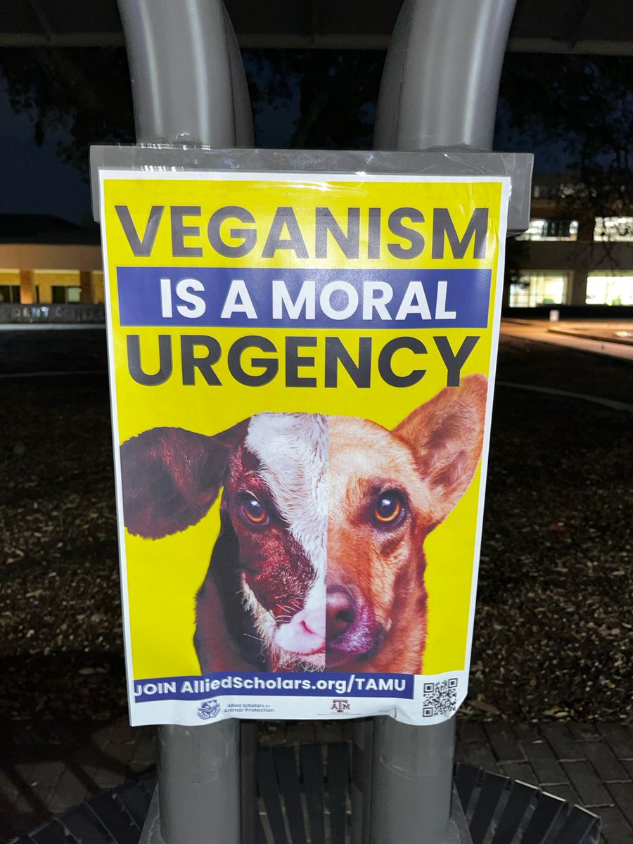 We've been finding many vegans around campuses with this poster. There are hundreds of vegans, and thousands of veg curious students in universities. We need to find them and inspire them. 

That's how we change the world!
