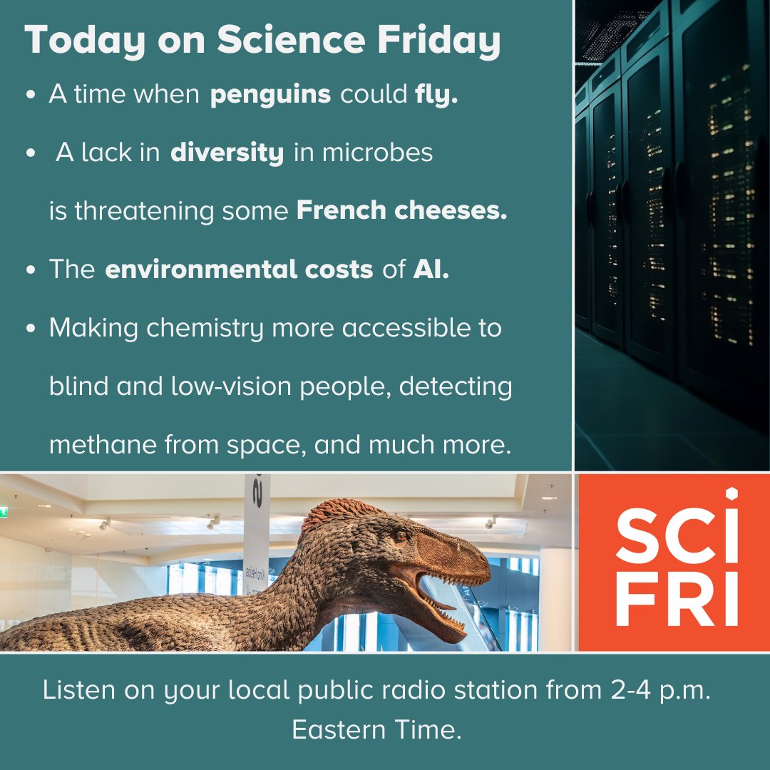 Today on Science Friday.