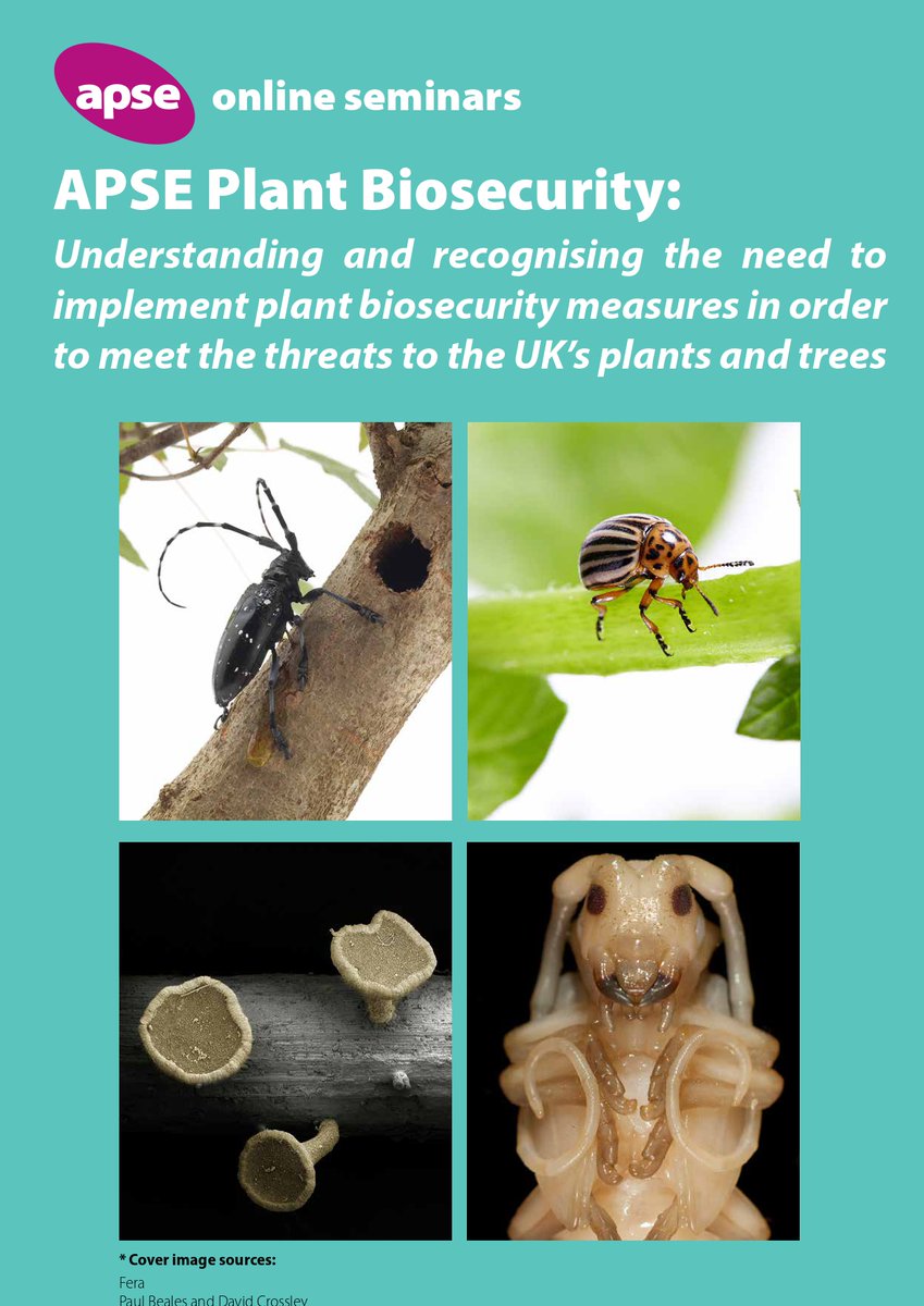 𝘼𝙋𝙎𝙀 𝙋𝙡𝙖𝙣𝙩 𝘽𝙞𝙤𝙨𝙚𝙘𝙪𝙧𝙞𝙩𝙮 𝙎𝙚𝙢𝙞𝙣𝙖𝙧 🌳 🌼 🐜 Based on the findings of the APSE Biosecurity survey, APSE will be holding an online seminar to look at the issues raised. Book your place here👇 apse.org.uk/index.cfm/apse…