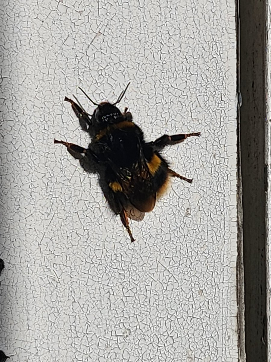 Kat 🐍 tweet media