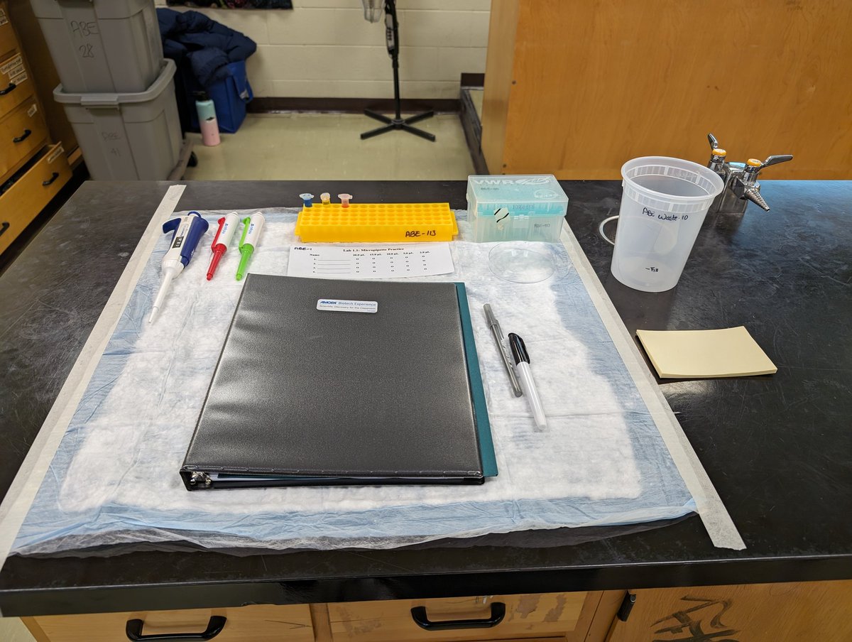 ABEUTM1's tweet photo. We're all set for the #LOYOL2024 PD session with @han85_han at St. John Paul II @TCDSB! Time to make pipette art, and solve the kitten paternity case! https://t.co/qnyR7Xzxy3