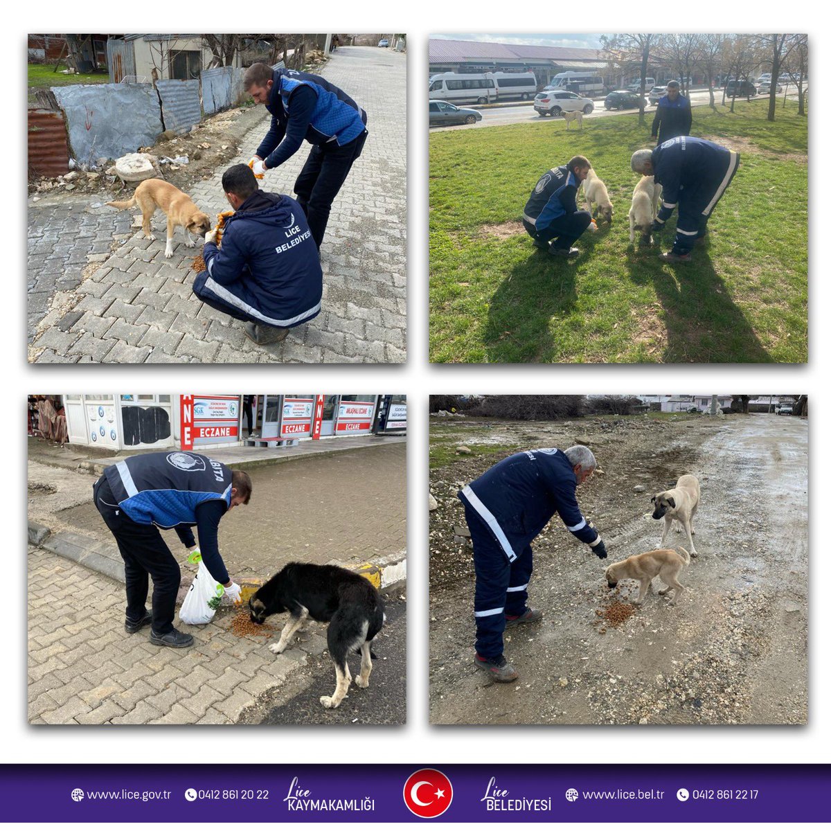 ➡️ Onlar bize emanet.. 🐾 🐕 🐈 🐾 

Belediyemiz imkanları ile sokaktaki dostlarımıza mama desteğinde bulunduk..

#birbaşkalice
