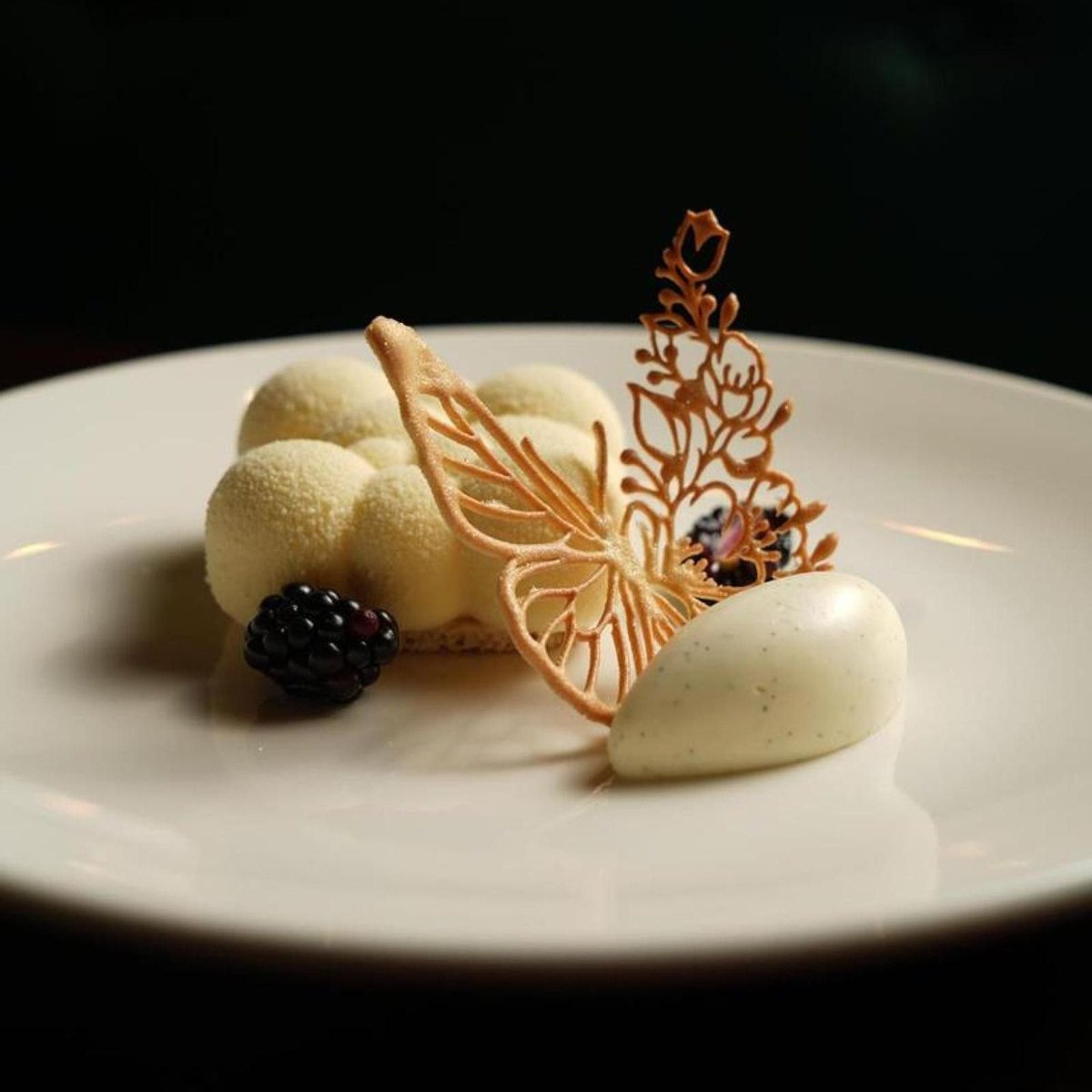 AA Rated Trips tweet media