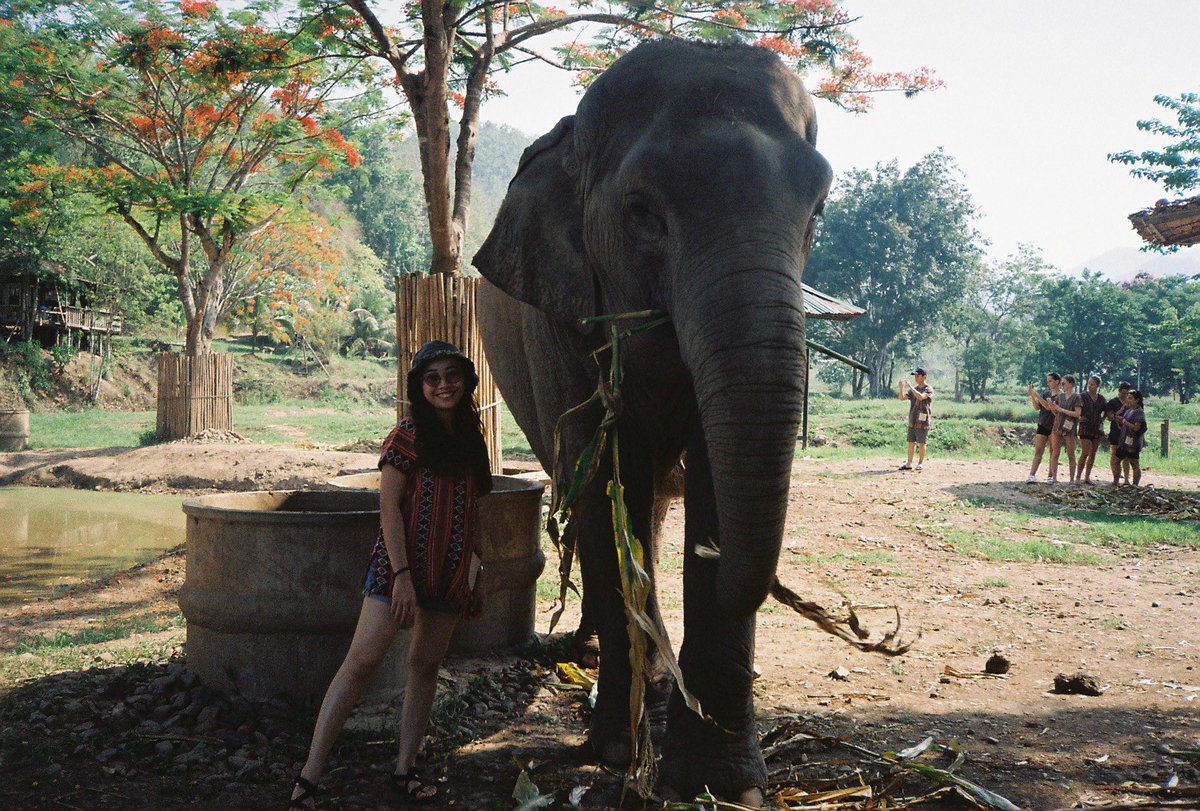 TayNewClownery's tweet photo. My Chiang Mai and Bangkok trip on film 🎞️
📷 #OlympusAF1Twin
🎞️ #KodakColorplus200 https://t.co/k2zxromVWh