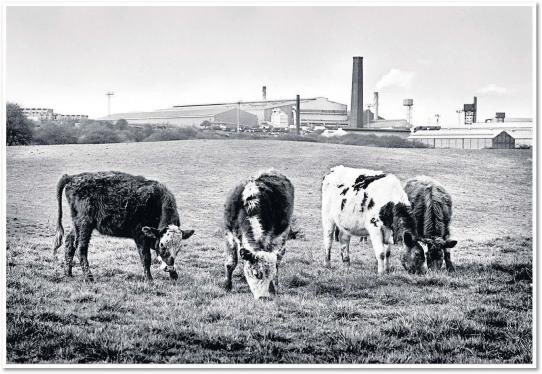 Amazing retrospective of the late Phil Roach’s work @rbsagallery - unique insight into everyday Black Country life  through the lens. Especially taken with the images of the area that is now Merry Hill and also the Brierley Hill FC ‘Gents Toilet’. Thanks @bctype for the heads up