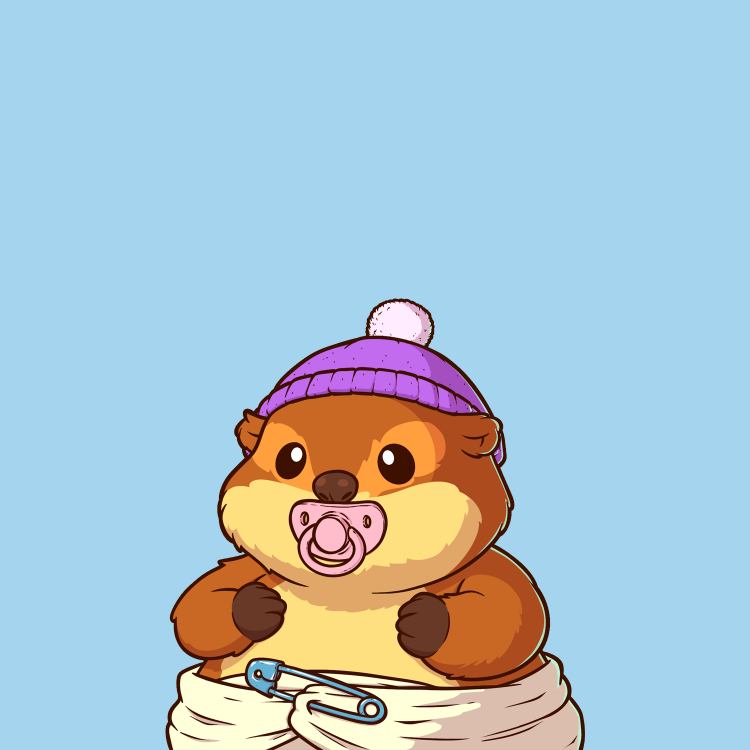 HowRareSOL tweet media