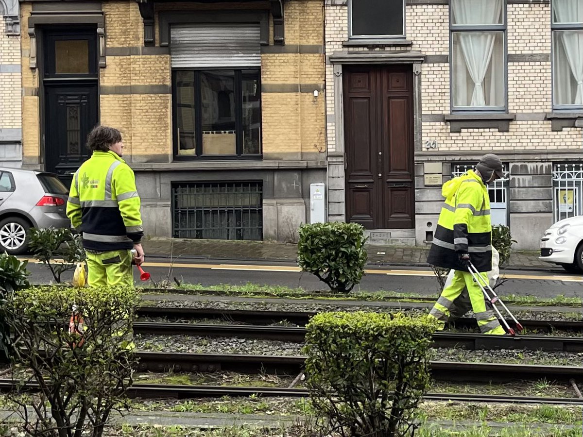 Teams of workers follow Brussels trams to collect passengers’ emotions, which are channelled through floor vents & fall on to tracks, where they can lie for days if not collected, although foxes will make short work of human disappointment.