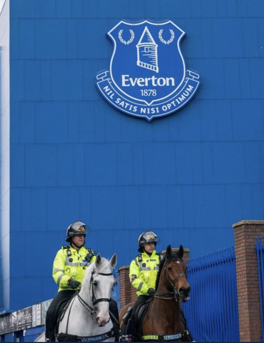 MerPolMounted's tweet image. 1/3 It is with a very heavy heart we are sorry to inform you all that we lost our amazing Jake on Wednesday. Jake was 24 years old &amp;amp; had been with the force since he was 5. He had a huge personality, kept us on our toes &amp;amp; was loved by everyone who met him #StandTall #PHJake