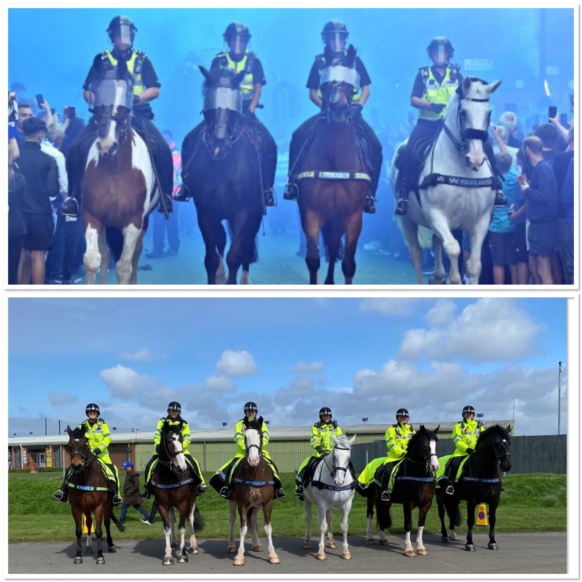 MerPolMounted's tweet image. 2/3 Jake represented the force at many huge event across the UK and received his long service award last year. 
During his career Jake chaperoned younger horses in training and helped new officers learn their roles. #StandTall #PHJake