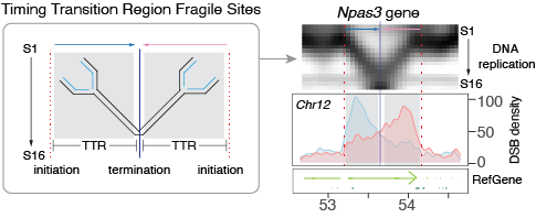 Peggy Pei-Chi Wei tweet media