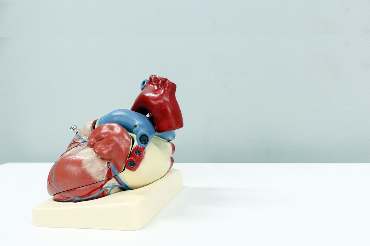PLOSMedicine's tweet photo. Using hospital records of 56 million people in England, Marlous Hall and team examine the long-term risk of major health outcomes following myocardial infarction @UoLMultiMorbEpi @LIDA_UK @Marlous3011 @cpgale3 @JonnyBatty @wellcometrust 

https://t.co/IxSOGScyIU https://t.co/a2Biq5QGBq