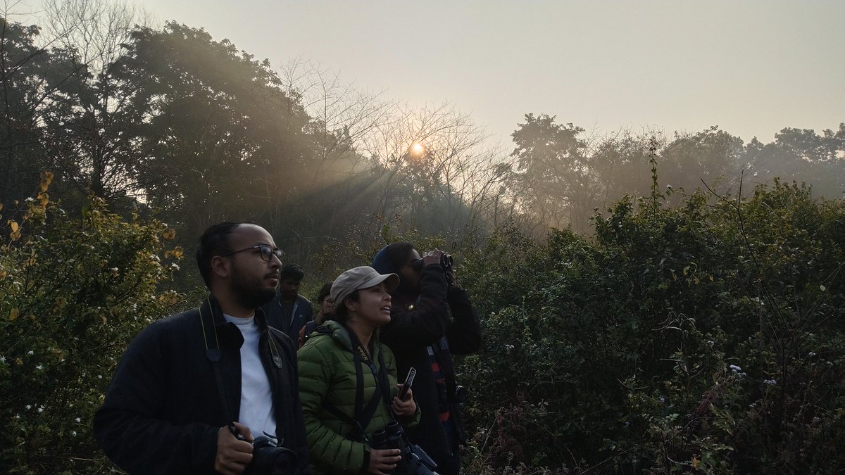 wii_eiacp's tweet photo. 🐦 Day one of Campus Bird Count at Wildlife Institute of India: Our campus boasts 134 species, while the state tallies up to 317! What a start! Stay tuned for more updates as we keep the count going. 🌿 #BirdCount #Wildlife #conservation https://t.co/OO2aZseoQ5