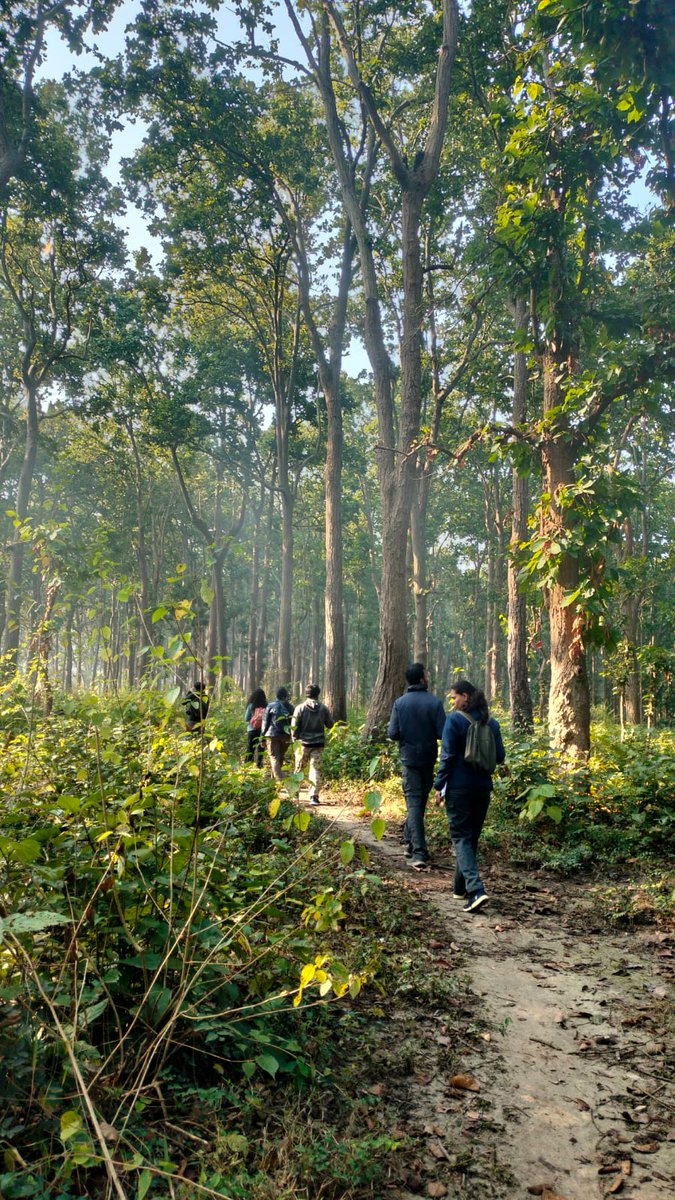 wii_eiacp's tweet photo. 🐦 Day one of Campus Bird Count at Wildlife Institute of India: Our campus boasts 134 species, while the state tallies up to 317! What a start! Stay tuned for more updates as we keep the count going. 🌿 #BirdCount #Wildlife #conservation https://t.co/OO2aZseoQ5