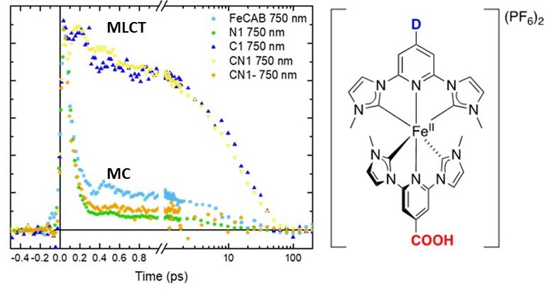 Quantum Photoelectrochemistry Group (@quantumpec) on Twitter photo Great work by <a href="/LinneaChemphys/">Linnea Lindh</a> and the Team to resolve ultrafast MLCT/MC switching in a series of benchmark Fe(II) NHC carbene complexes as a key step to set the record straight for the excited state dynamics in this class of complexes.
sciencedirect.com/science/articl… Great work by <a href="/LinneaChemphys/">Linnea Lindh</a> and the Team to resolve ultrafast MLCT/MC switching in a series of benchmark Fe(II) NHC carbene complexes as a key step to set the record straight for the excited state dynamics in this class of complexes.
sciencedirect.com/science/articl…