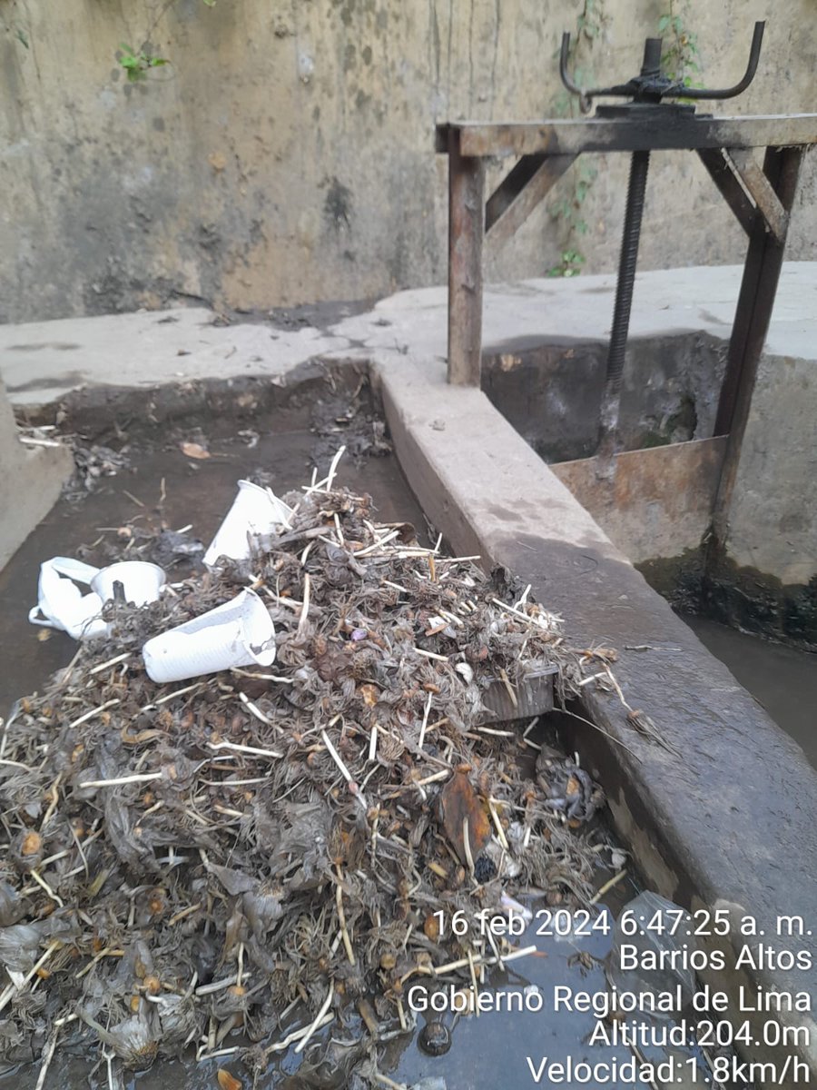 SurcoRegantes's tweet photo. En la caseta Presbítero Maestro, se viene realizando la extracción de los residuos sólidos y cáscaras de ajo que fueron arrojados al Canal Derivador Huatica. #lima #peru #agua #noticias #riohuatica #MedioAmbiente
#contaminacion #sostenibilidad https://t.co/HGtQGIQs2A