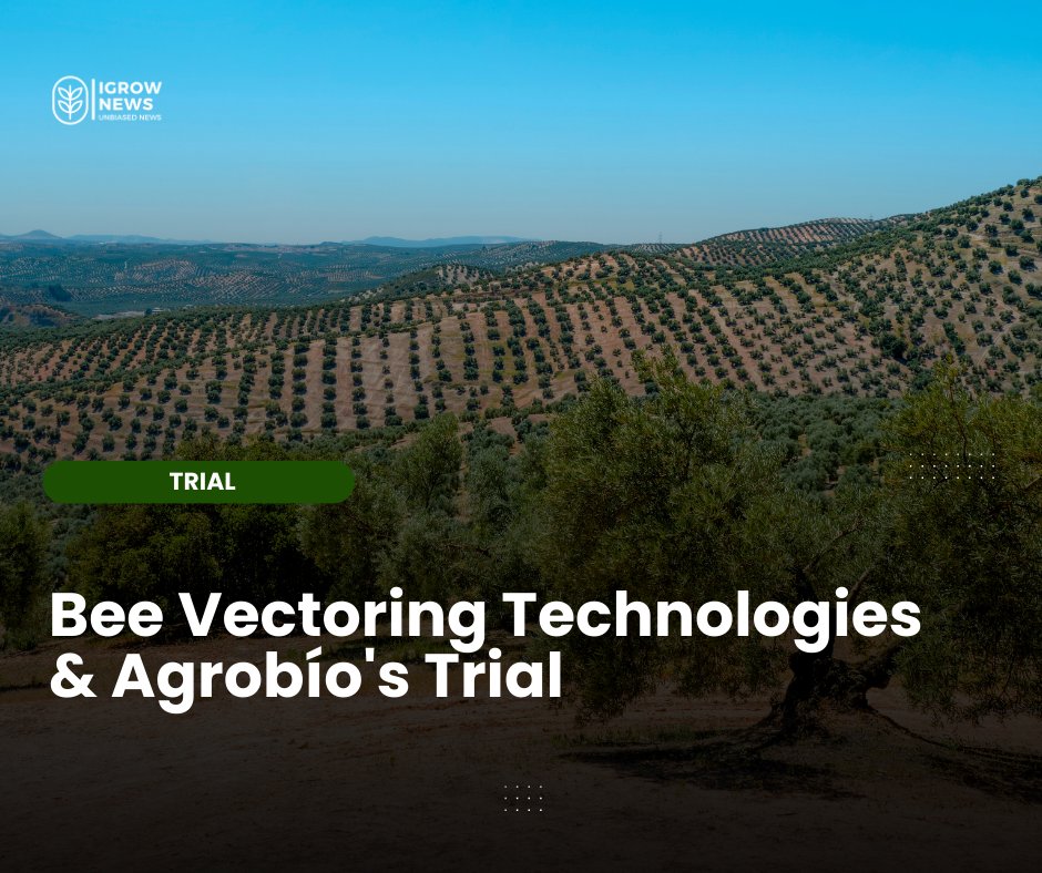 @BeeVTech $BVT has partnered with @AgrobioSL to trial its natural precision agriculture system as part of the EU-funded ADOPT-IPM project under the Horizon Research and Innovations Actions initiative.

Read more here -> igrownews.com/bee-vectoring-… 

#igrownews