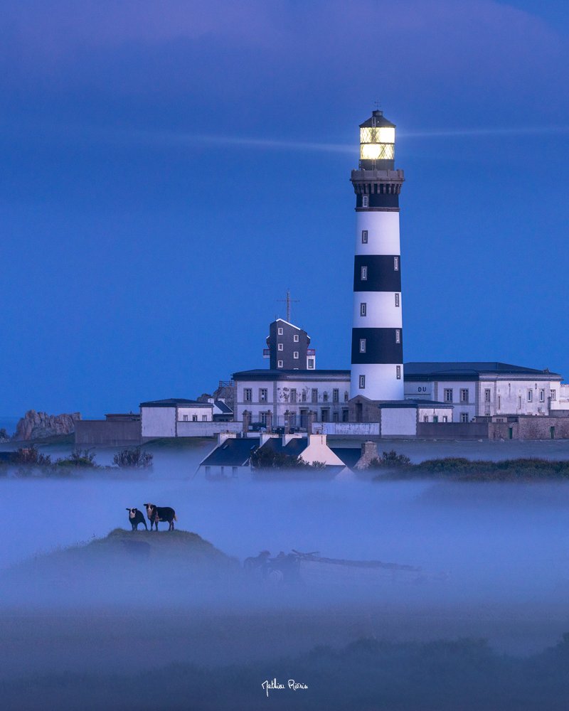𝑷𝑶𝑬𝑺𝑰𝑬 𝑶𝑼𝑬𝑺𝑺𝑨𝑵𝑻𝑰𝑵𝑬 
La  brume avait envahi l'île d'Ouessant et au petit matin la  magie opérait. Le phare du Créac'h allait s'éteindre et l'île se  réveiller. Sur cette butte, 2 petites têtes dépassaient pour rendre la  scène forte et mémorable.
#Bretagne