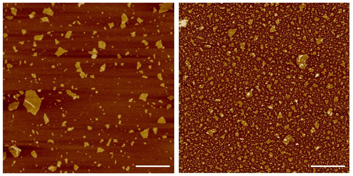 📢 BREAKING NEWS!

🔬  The groundbreaking nanomaterial #graphene may be harnessed for medical and technological purposes with minimal #health risks. 

🤝 Collaborators: @EdinUniCVS, @CntmMcr and @icn2nano

🔗 News link 👉 bit.ly/48jg4TI

#ResearchNews #Nanotechnology