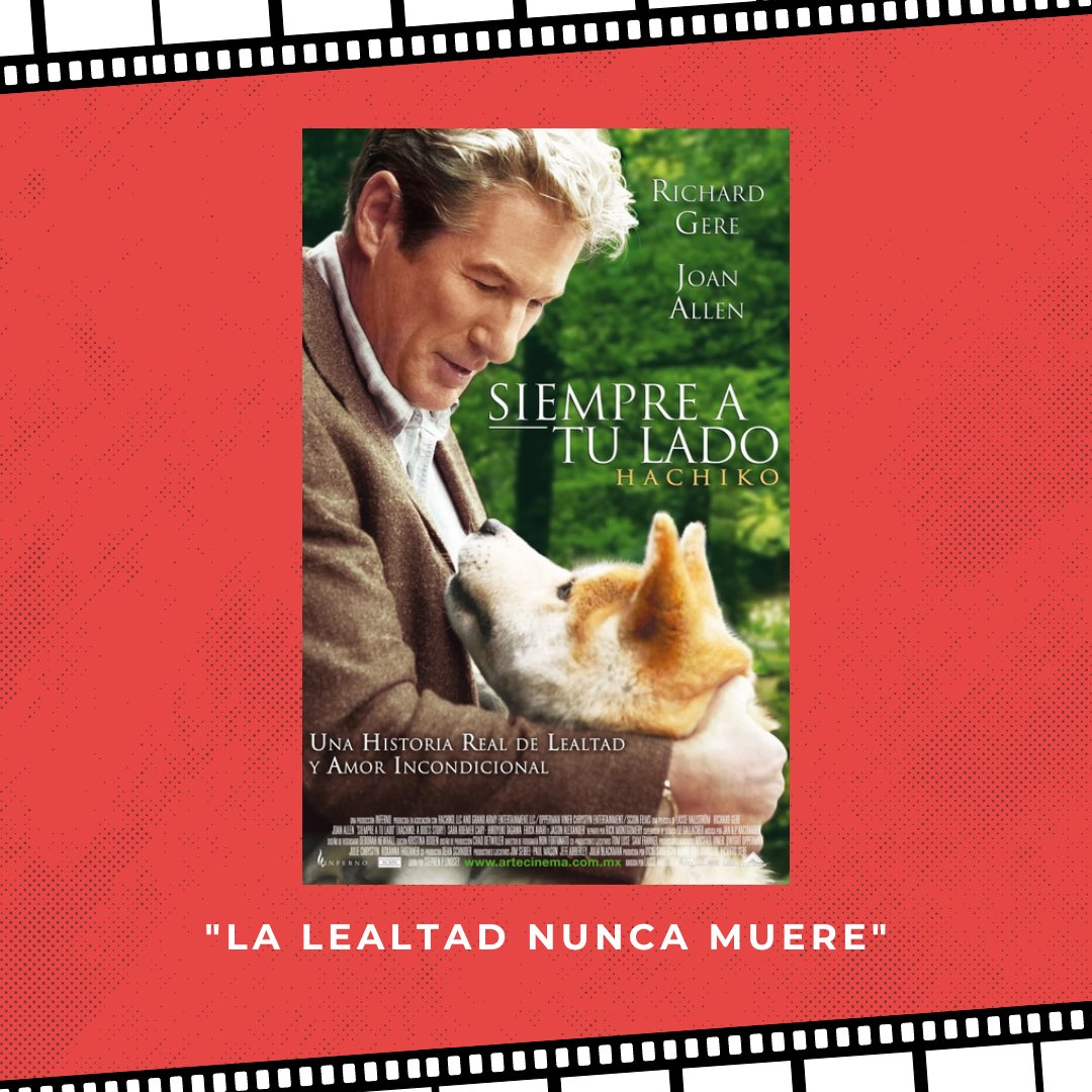 Los Creativos tweet media