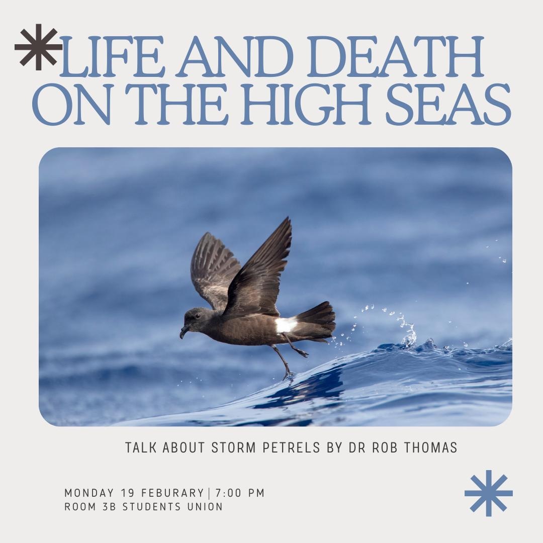 Come along to see Dr. Rob Thomas (<a href="/RobThomas14/">Rob Thomas</a>) talk about Storm Petrels on Monday 19th, in room 3B of the SU, at 7pm.