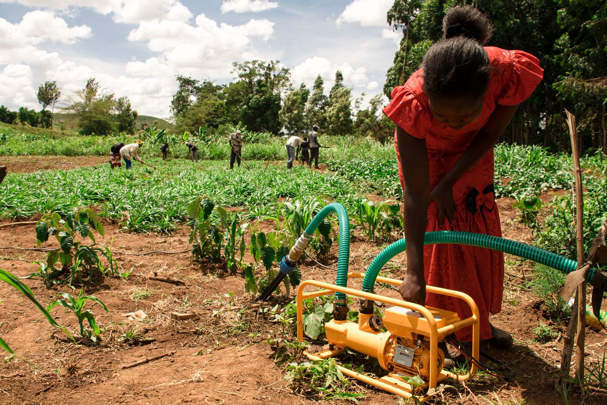 Join SNV at #EconSustainability on March 4! @sioconnell1  will moderate a virtual panel on #RegenerativeAgriculture —How can Renewable Energy transform food systems? with esteemed leaders from @IKEAFoundation, @Acumen and @AGRAAlliance.  

🔗Register:  bit.ly/3SYo206