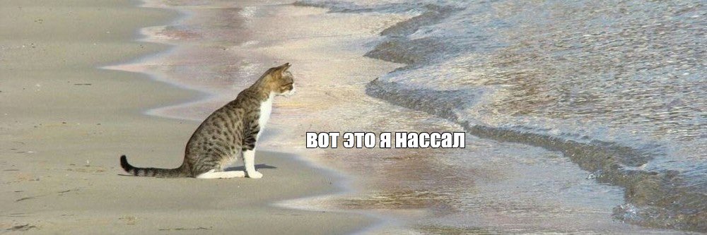 heremitaaa's tweet photo. #клуَбромантиٍки https://t.co/pdGiz2GmKQ