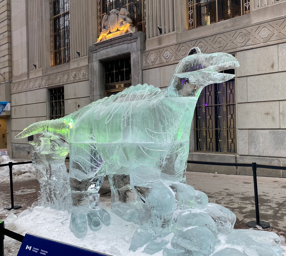 An icy Edmontosaurus to celebrate Ottawa’s Winterlude!!! #Winterlude #FossilFriday
