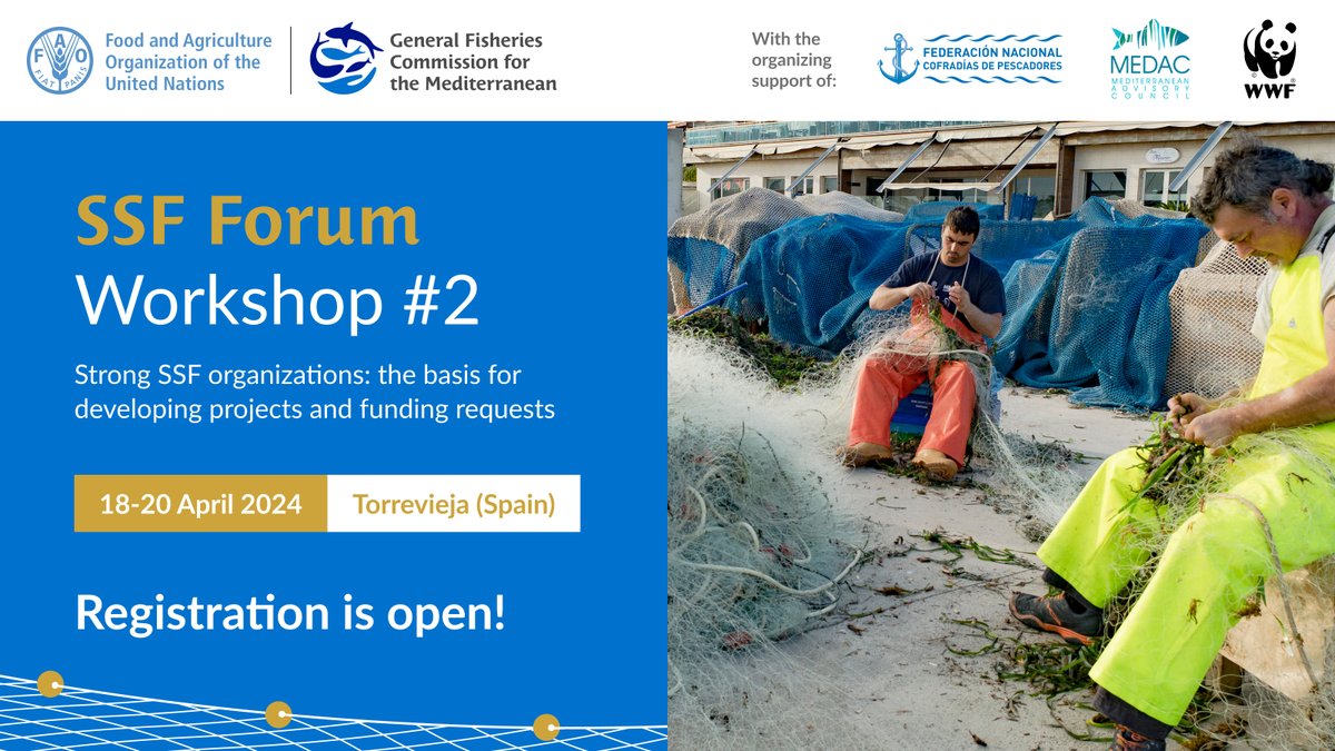 📣 REGISTRATION OPEN❗️ 📆 April 18-20 2024 Next stop of the #SSFForum: 🇪🇸 where we will be discussing how to establish a #strong and #sustainable #SSF organization, following the example of the local 'cofradías de Pescadores' with @FNCP_Pescadores @MEDAC_ shorturl.at/joxHV