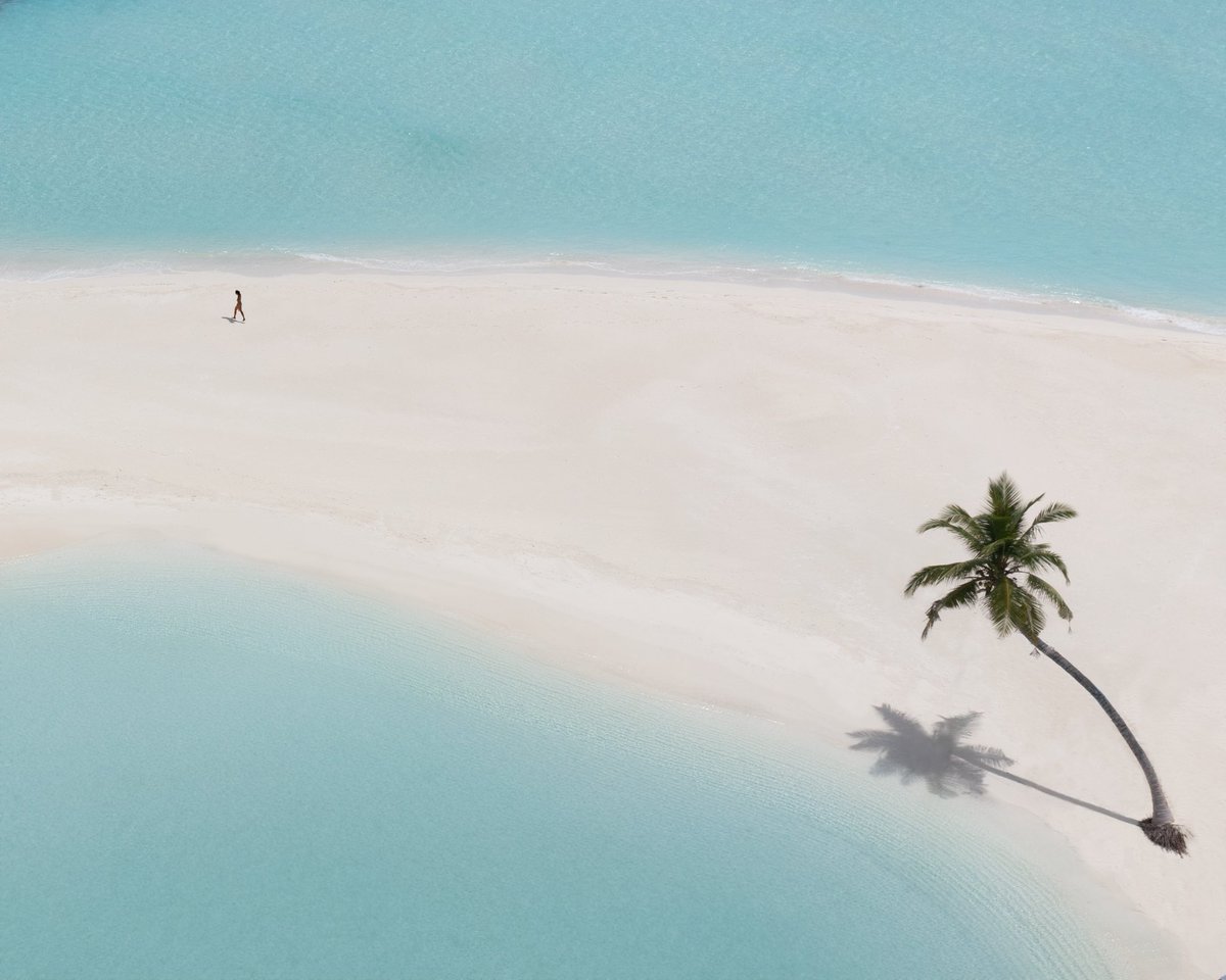 GM all!

“Harmony” is live!

12 Editions
0.2 $SOL

Curated by @SolCityRadio and hosted by <a href="/exchgART/">Exchange Art</a> 

exchange.art/editions/9izAY…