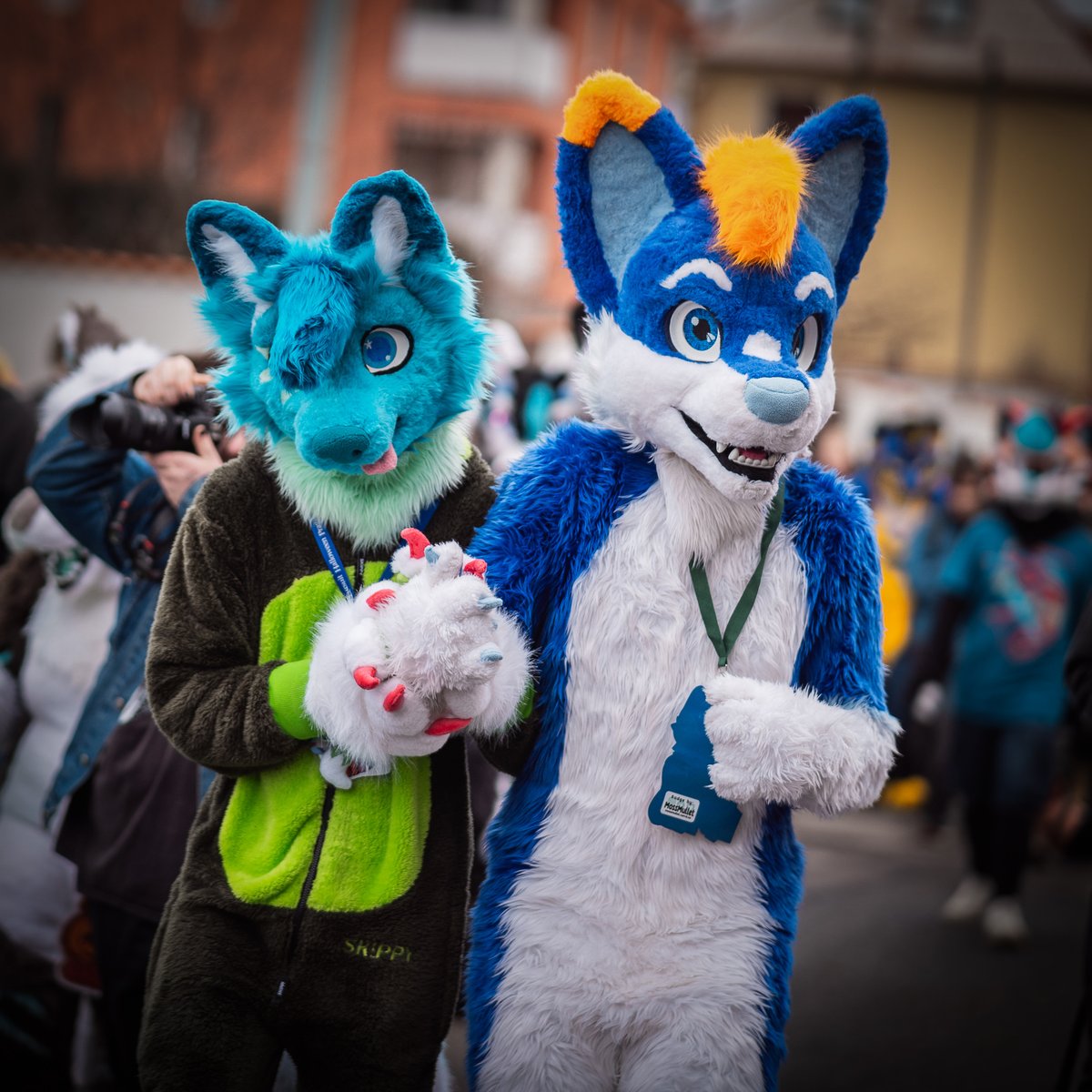 💙💚 🐾 🧡💙 Wish you happy fursuit friday with this cute husky
📷 <a href="/cloniksphotos/">Clonik</a>
🧵 <a href="/Bambilijas/">Bambilijas</a>
#happyfursuitfriday
#furry #furryfandom #furries #furry2024 #furry_irl #furrycommunity #furryfriends #furryfriend #furrsuit #furrylove #furrywalk #furrycuddles #furryhusky #furrycute