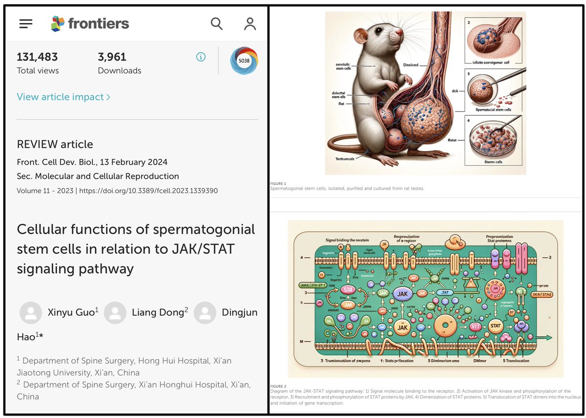 Spot the faux 'paw'? A case of 'Genitalium hypertrophia magistralis ficticia'--Not just a mouthful, but a tale-telling error that slipped through the peer-review cracks. Eyes on the science, not just the metrics. #WhatPeerReview #ScienceAccuracy #AIinResearch