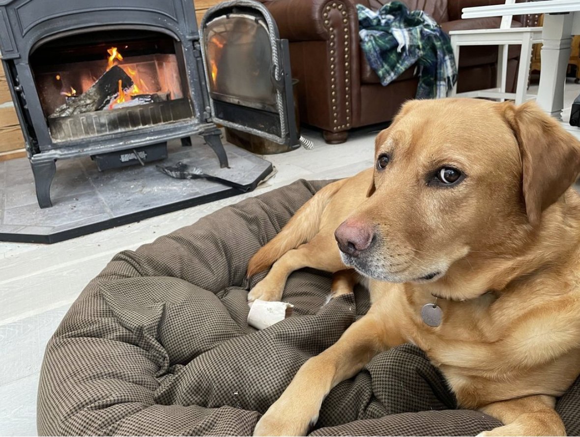 @EnviroLogFire We love curling up in front of the wood fire stove with our Fox Red Labrador.

After the relentless snow this year, it has become our favorite spot.

We'd be over the moon if we won the EnviroLog bundle. Thanks!