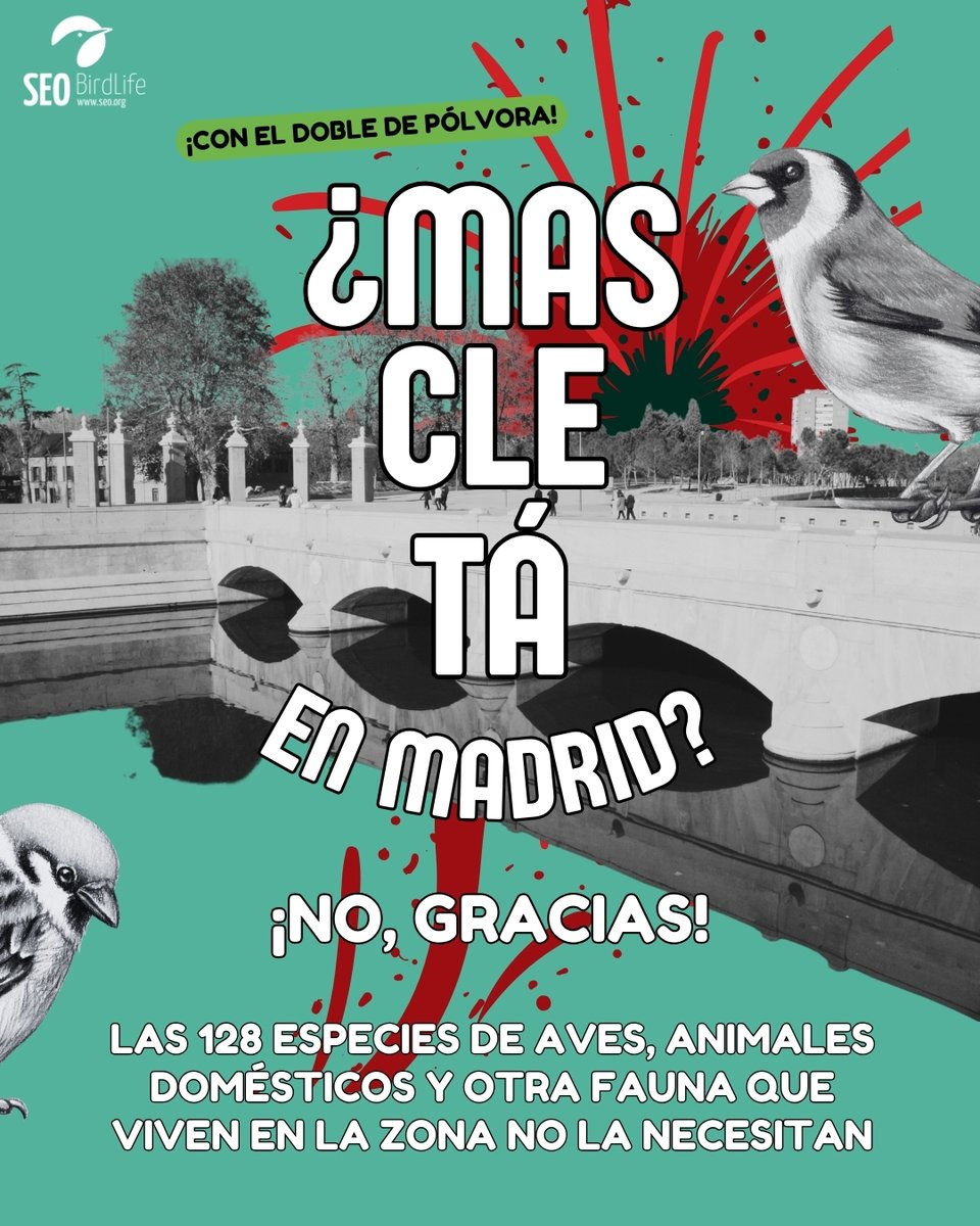 #NoALaMascletá Es un espacio renaturalizado, afecta a más de 130 especies de aves... y en época de preproducción!!
Totalmente contrario a  cualquier ciudad que quiera garantizar a las personas que la habitan, salud, calidad de vida y bienestar.
seo.org/mascleta-en-pl…