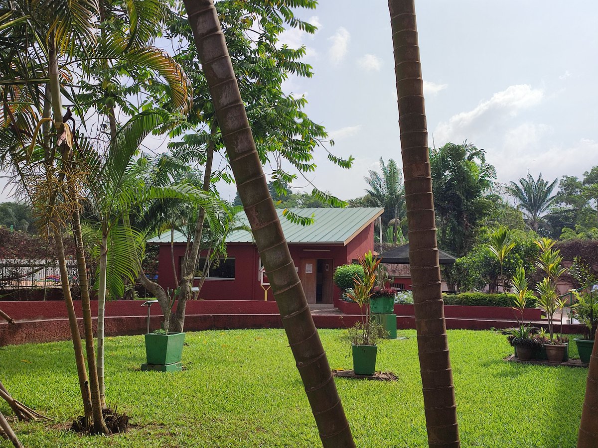 benoitclair1's tweet photo. Retour de mission au lycée international Jean Mermoz d'Abidjan @lijmermoz . Lutter contre le harcèlement est une priorité aussi dans les lycées français du réseau @mlfmonde . En partenariat, l'@AcademieDijon accompagne pour former les adultes et les élèves. https://t.co/OKFUkyXJuF