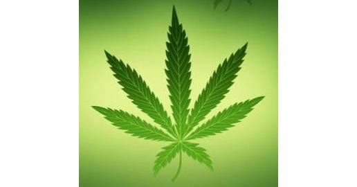 📌 Grote hennepplantage aangetroffen in #Helmond, 3 personen aangehouden

Zie deweblogvanhelmond.nl/startpagina/gr…