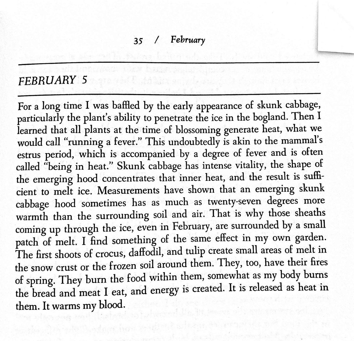 crowcialist's tweet photo. Until I read this Hal Borland passage a few days ago I never realized/noticed that blossoming plants melt the snow, and it’s because that act generates a bunch of heat https://t.co/zrZ7K4GfdX