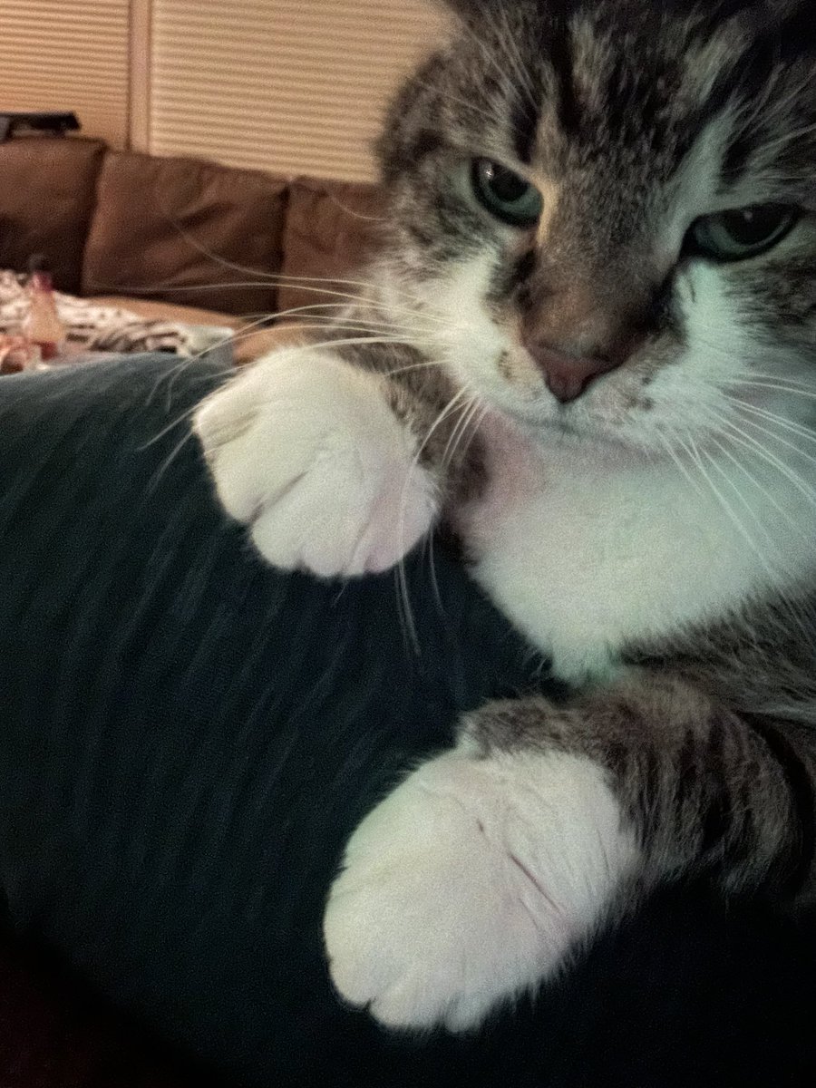 Glon McCreedy tweet media