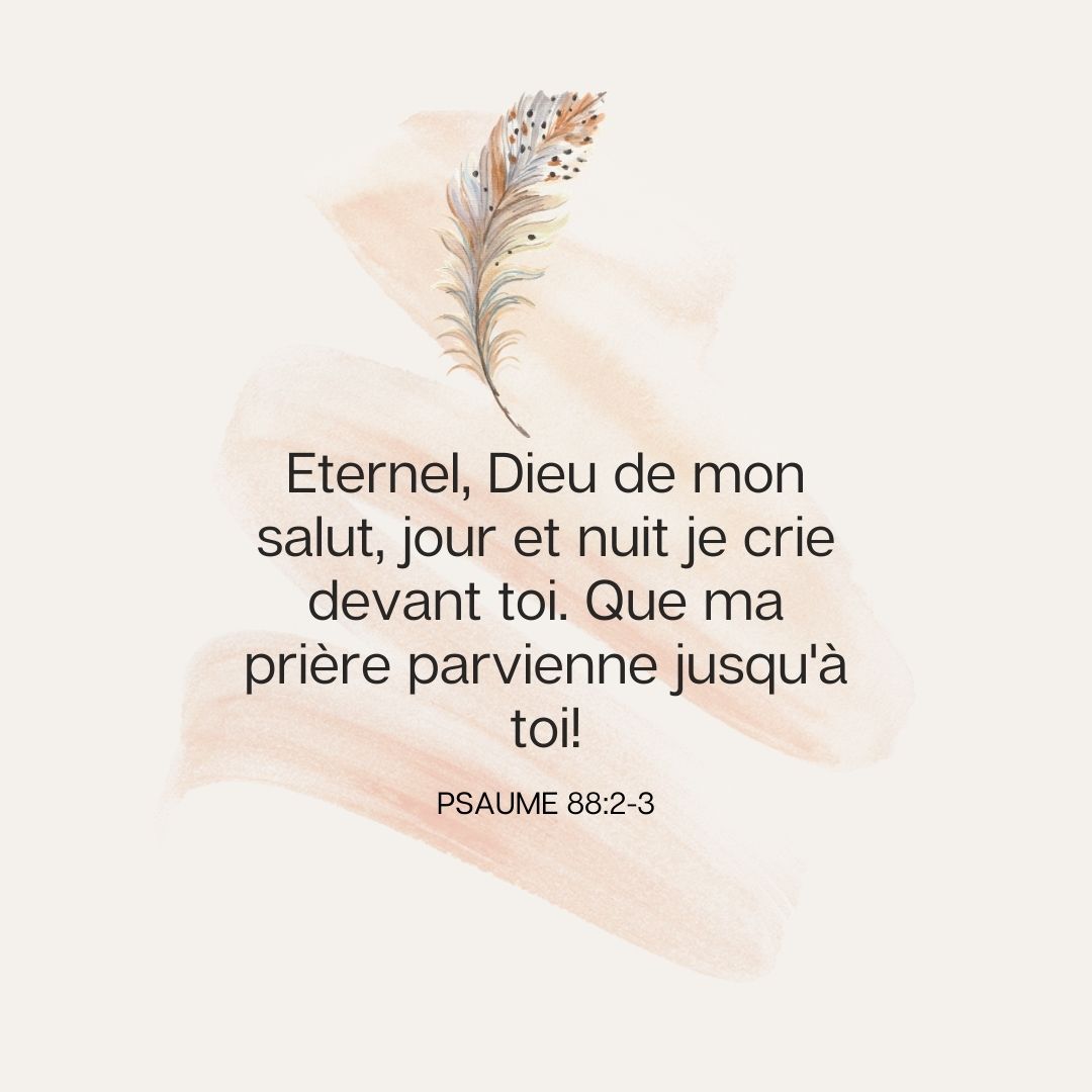 la_Bible's tweet photo. https://t.co/Mn9UreBBCb