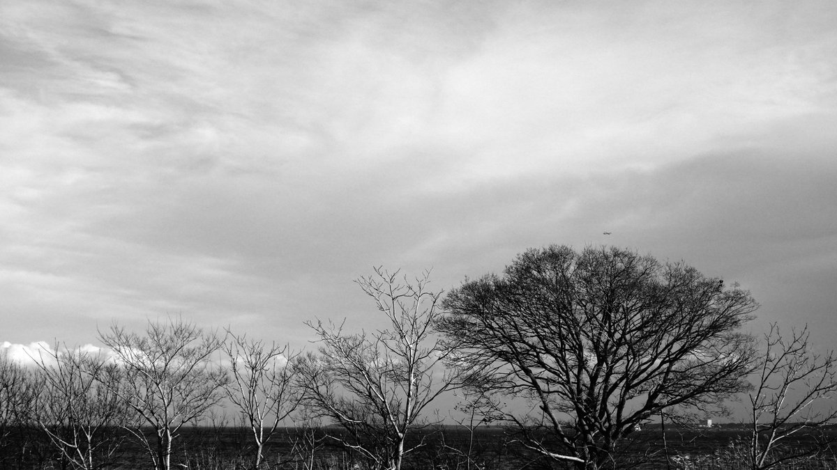 Mellows2011's tweet photo. #WinterColors
#Monochrome
#ColdButWarm https://t.co/XB2ewR307X