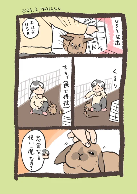 使い魔っぽい🧙‍♀️

#うさぎのいる生活 