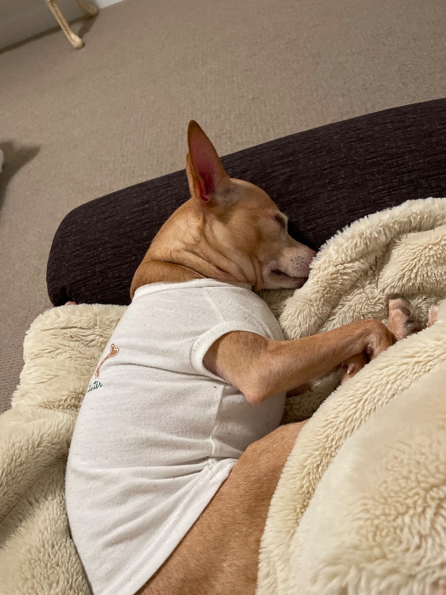 🦑Tainted Pact Games🦑 tweet media