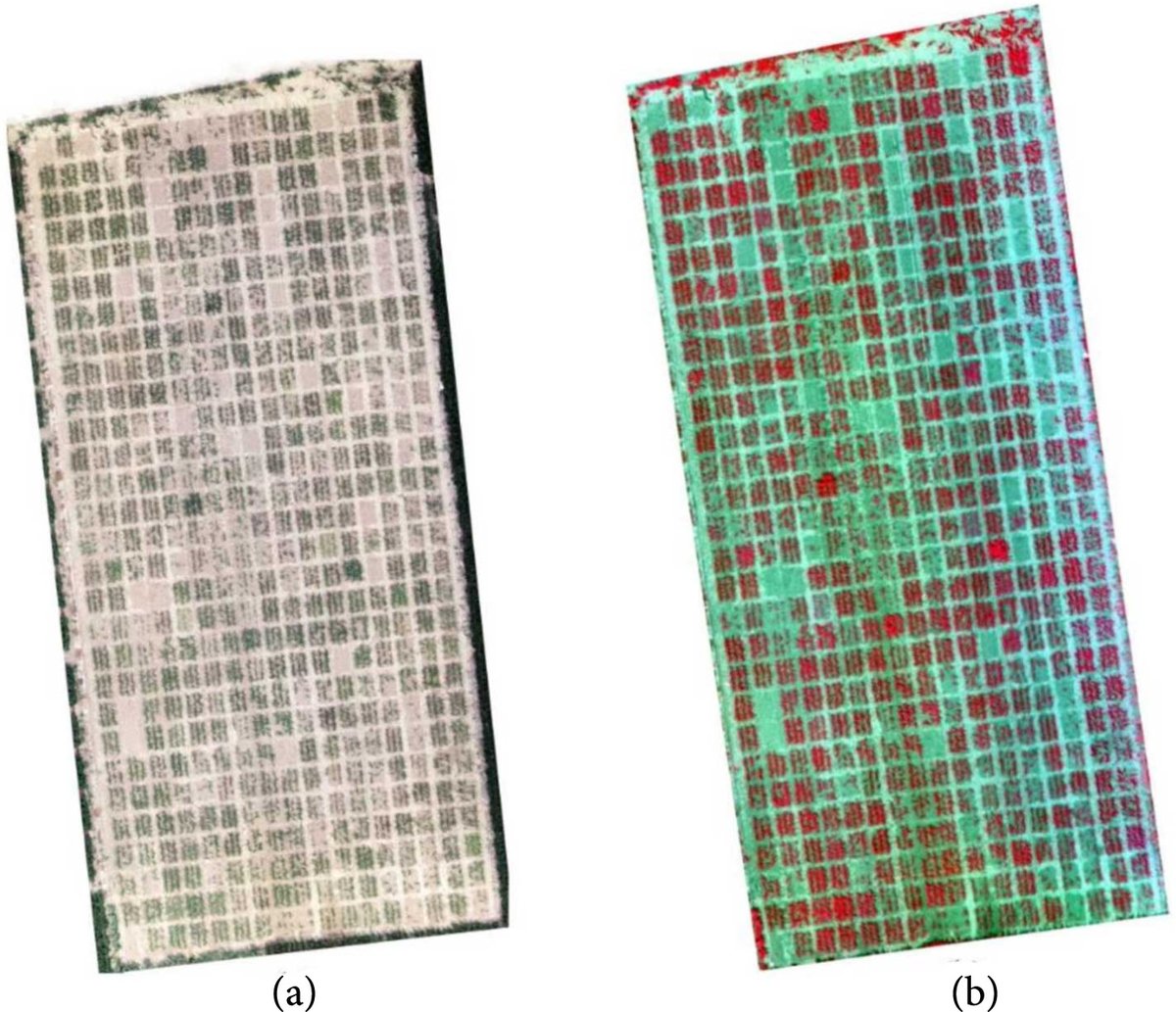 PPhenomics's tweet photo. UAV-based phenotyping enhances maize breeding efficiency. Ensemble learning improves accuracy using RGB and multispectral sensors. Features combination boosts estimation accuracy. #MaizeBreeding #UAVPhenotyping
Details: https://t.co/TpuUBPygtn https://t.co/YdvBnwuCOM
