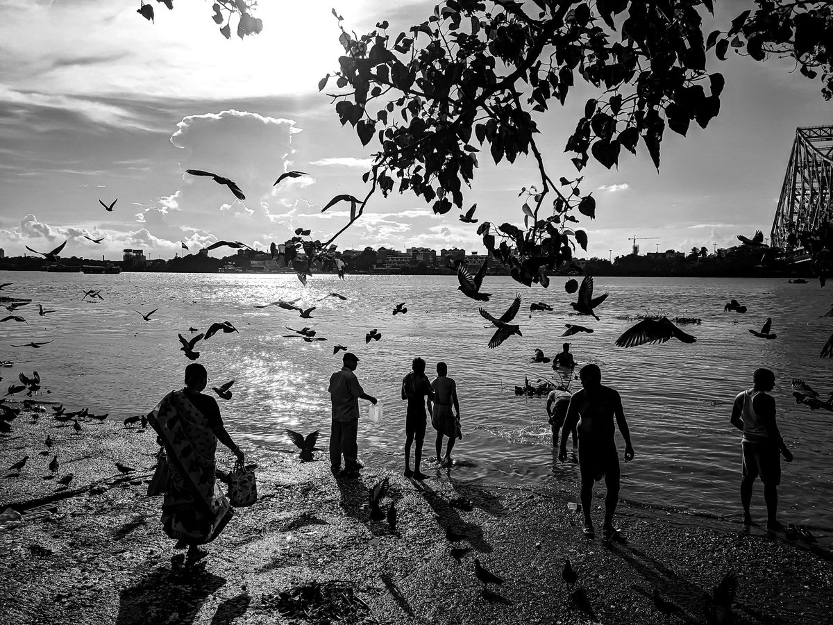 Rate the mobile shot ❤️ and Guess the location 📌