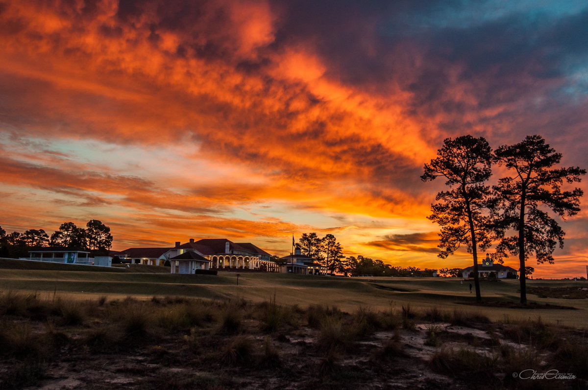 Pinehurst Resort tweet media