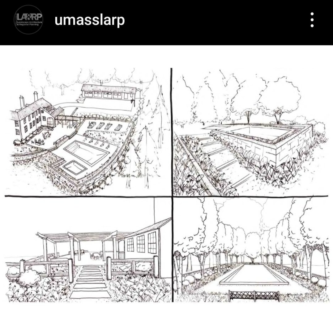 Mike Malone tweet media