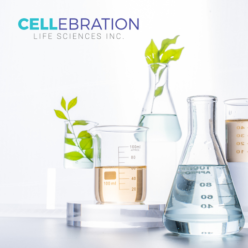 cellebrationsci's tweet photo. While preclinical research answers basic questions about Stem Cell therapy’s safety, it is necessary to study ways the Stem Cells infused will interact with the human body. 

https://t.co/FYxvcrnbR2 

#Stem #Cells #Science https://t.co/zXYRE5gb6b