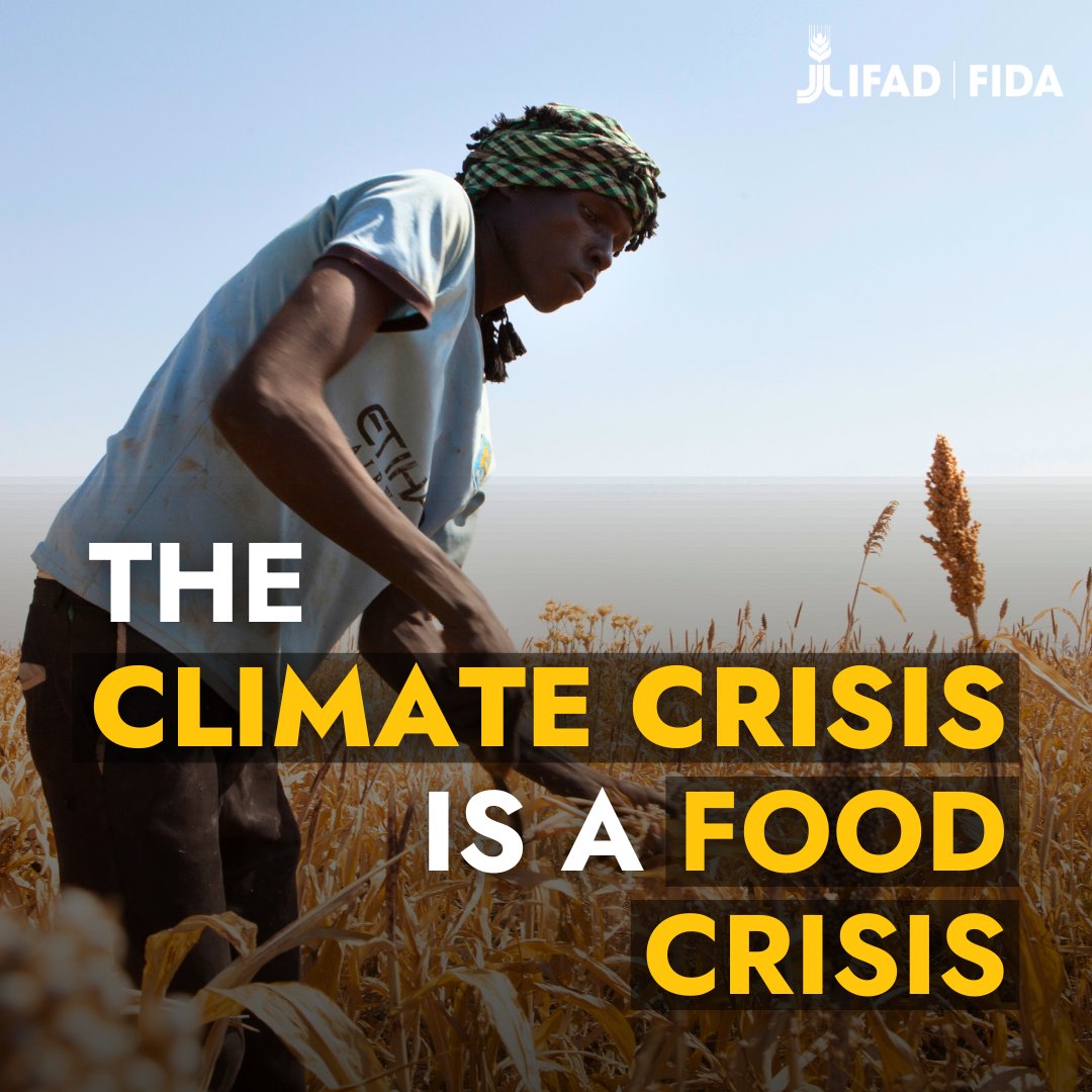 Higher temperatures are making it harder to produce food.

And for vulnerable rural communities, failed harvest seasons can mean meagre earnings and empty plates.

If we don't support them and #ActOnClimate today, we let hunger win.
